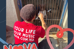 SPCA Windhoek