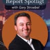 Business Report Spotlight