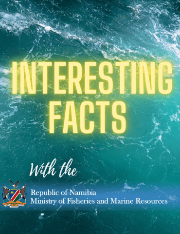 Interesting Facts