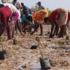 Africa’s climate services need local detail and knowledge, say people who use the information