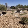 Brown is beautiful: what Namibia’s capital Windhoek can teach African cities as they get hotter and drier