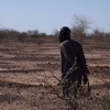 Nigeria faces the world’s highest projected death toll from super El Niño heat: what could save lives